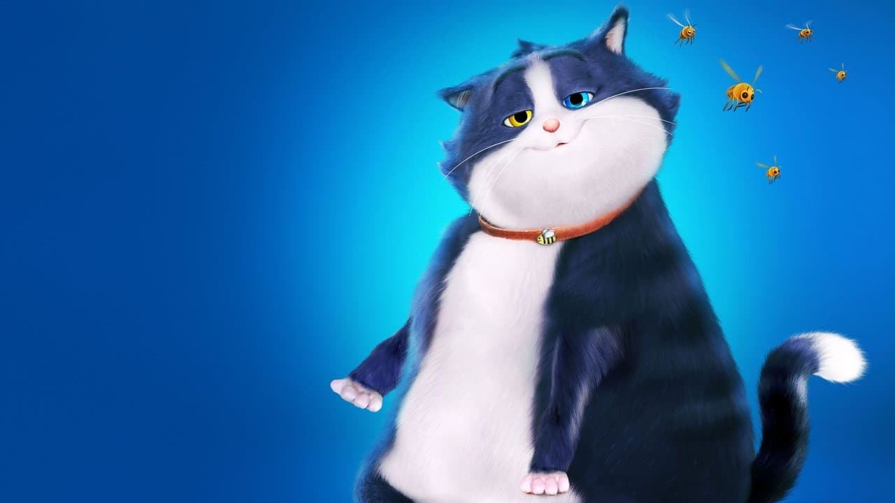 Buzzy De Gelukskat (DVD)