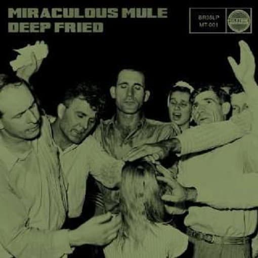 Miraculous Mule - Deep Fried (CD)