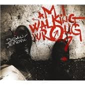 Dusan Jevtovic - Am I Walking Wrong?