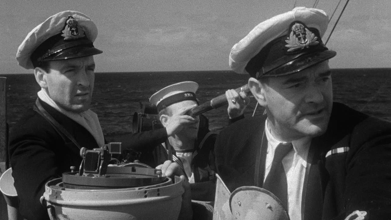 Cruel Sea (Import)