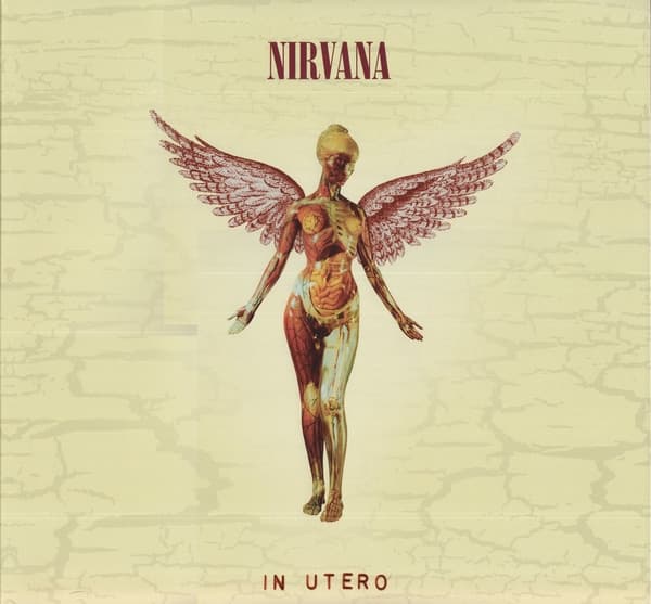 Nirvana - In Utero =super Deluxe 3-lp=