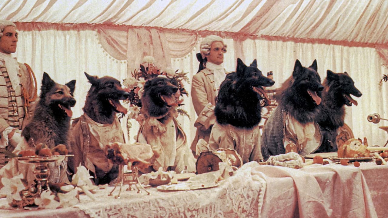 Company Of Wolves (Import)