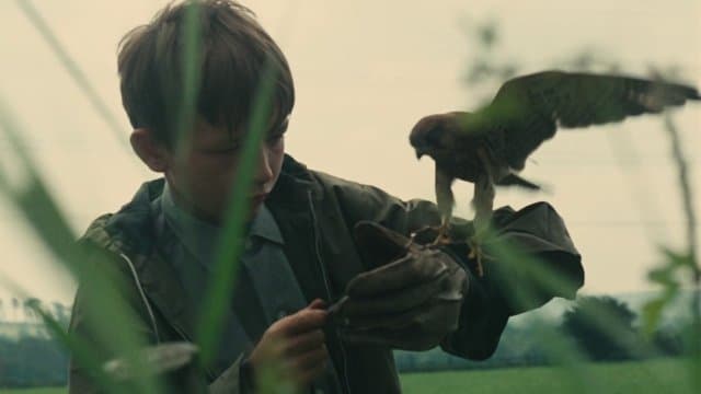 Kes (Import)
