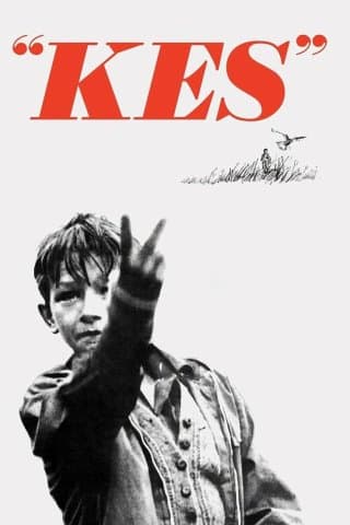 Kes (Import)