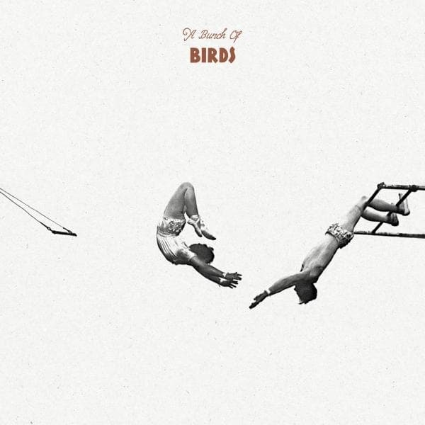 A Bunch Of Birds - A Bunch Of Birds (LP)