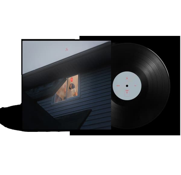 Kill Birds - Crave (12" Single)