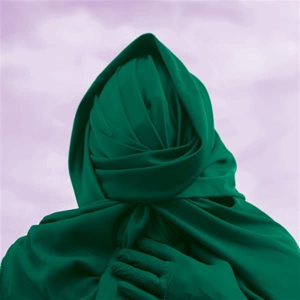 Not Scientists - Staring At The Moon (10" LP)