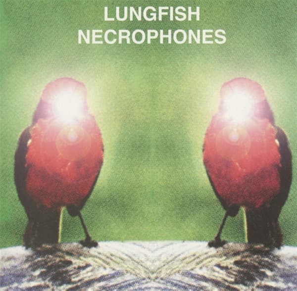 Lungfish - Necrophones (LP) (Coloured Vinyl)