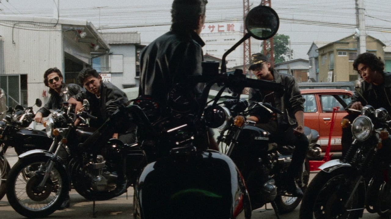Detonation Violent Riders (Import)