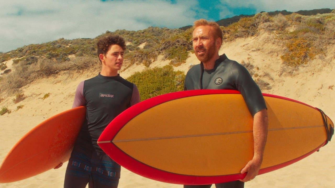 The Surfer (Import)