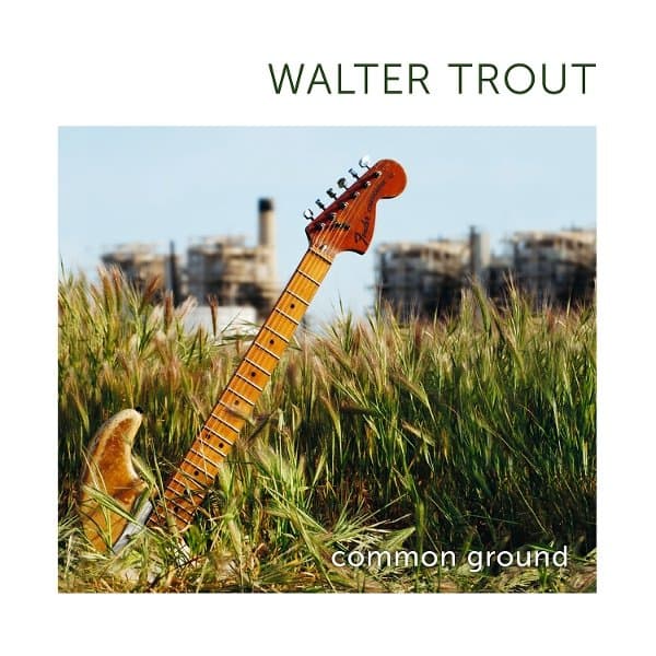 Walter Trout - Common Ground (2 LP) (15th Anniversary Edition)