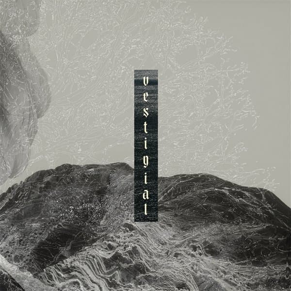 Vestigial - Descending Vastness (CD)