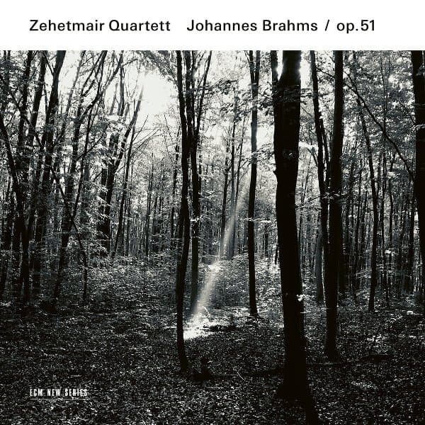 Zehetmair Quartett - Brahms: String Quartets Op. 51 (CD)