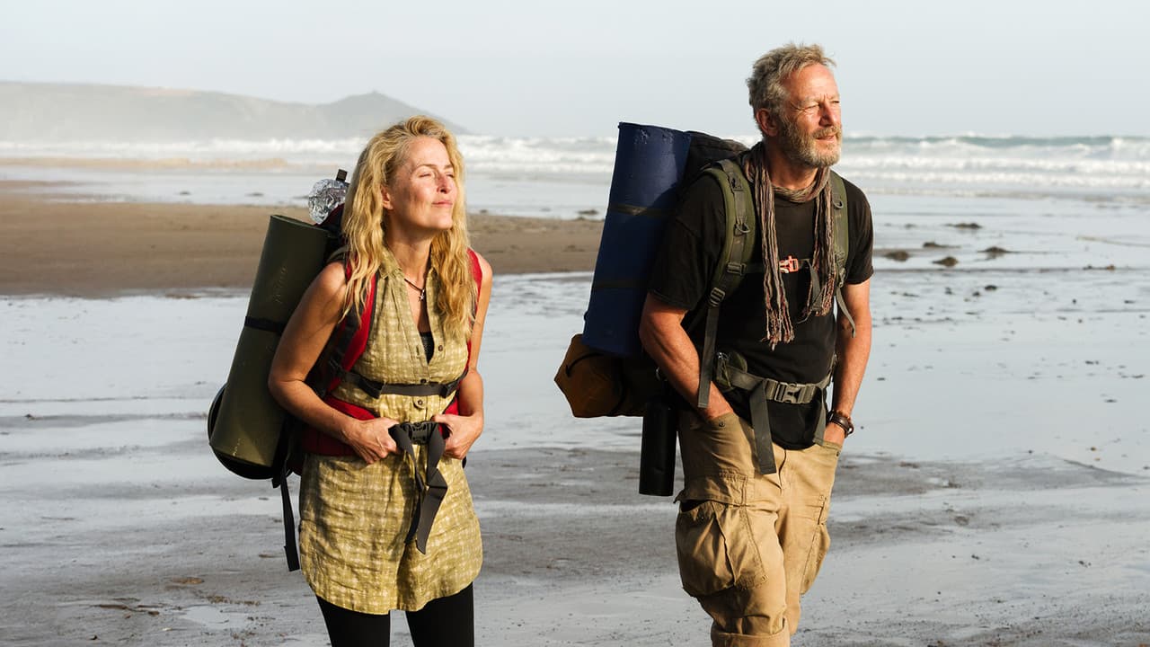 The Salt Path (DVD)