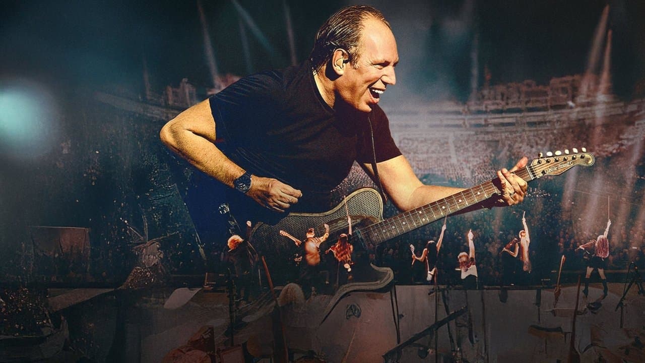Hans Zimmer - Diamond In The Desert (DVD)