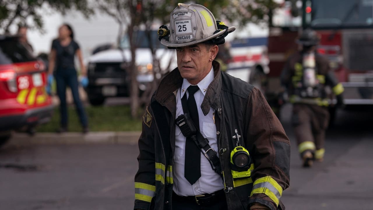 Chicago Fire: Season 13 (Import)