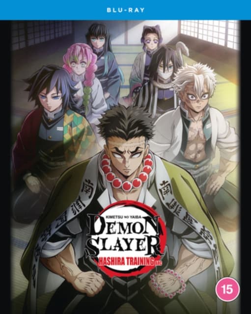 Demon Slayer Kimetsu No Yaiba Hashira Training Arc