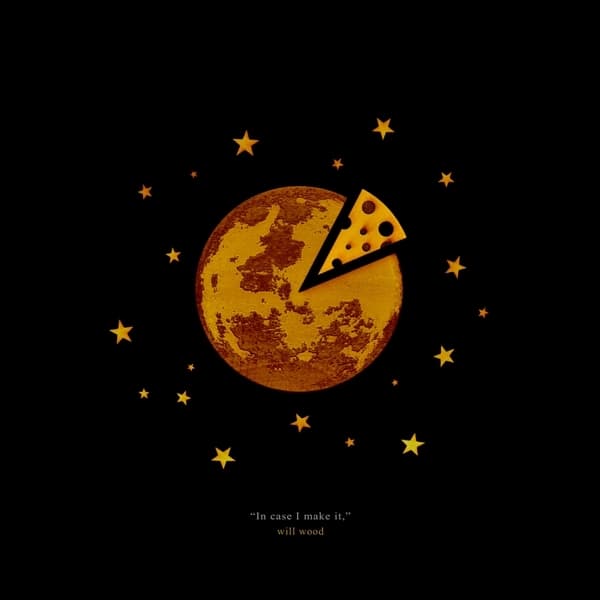 Will Wood - In Case I Make It (2 LP) (Coloured Vinyl)