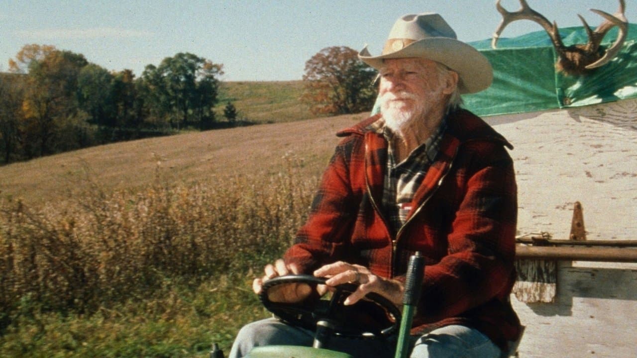 The Straight Story (Import)