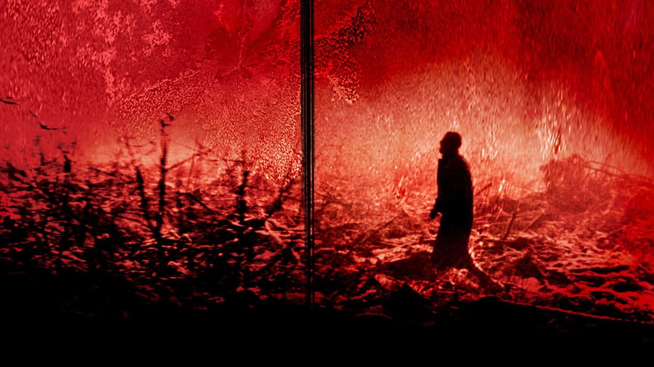 Calvaire - Limited Edition