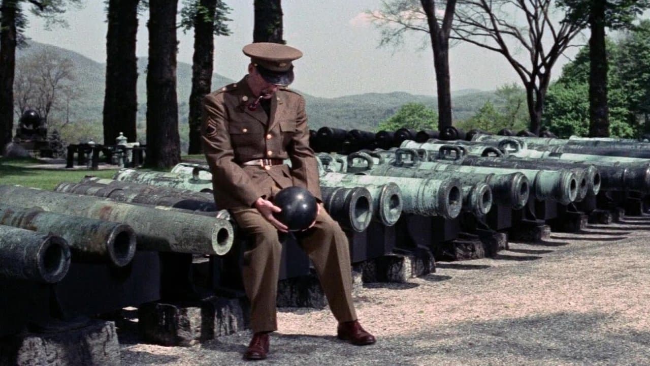 Long Gray Line (Import)