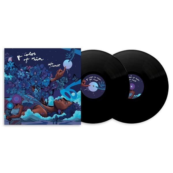 Aja Monet - The Color Of Rain (2 LP)