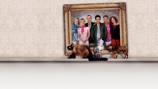 Meet The Fockers (4K UHD) (USA Import)