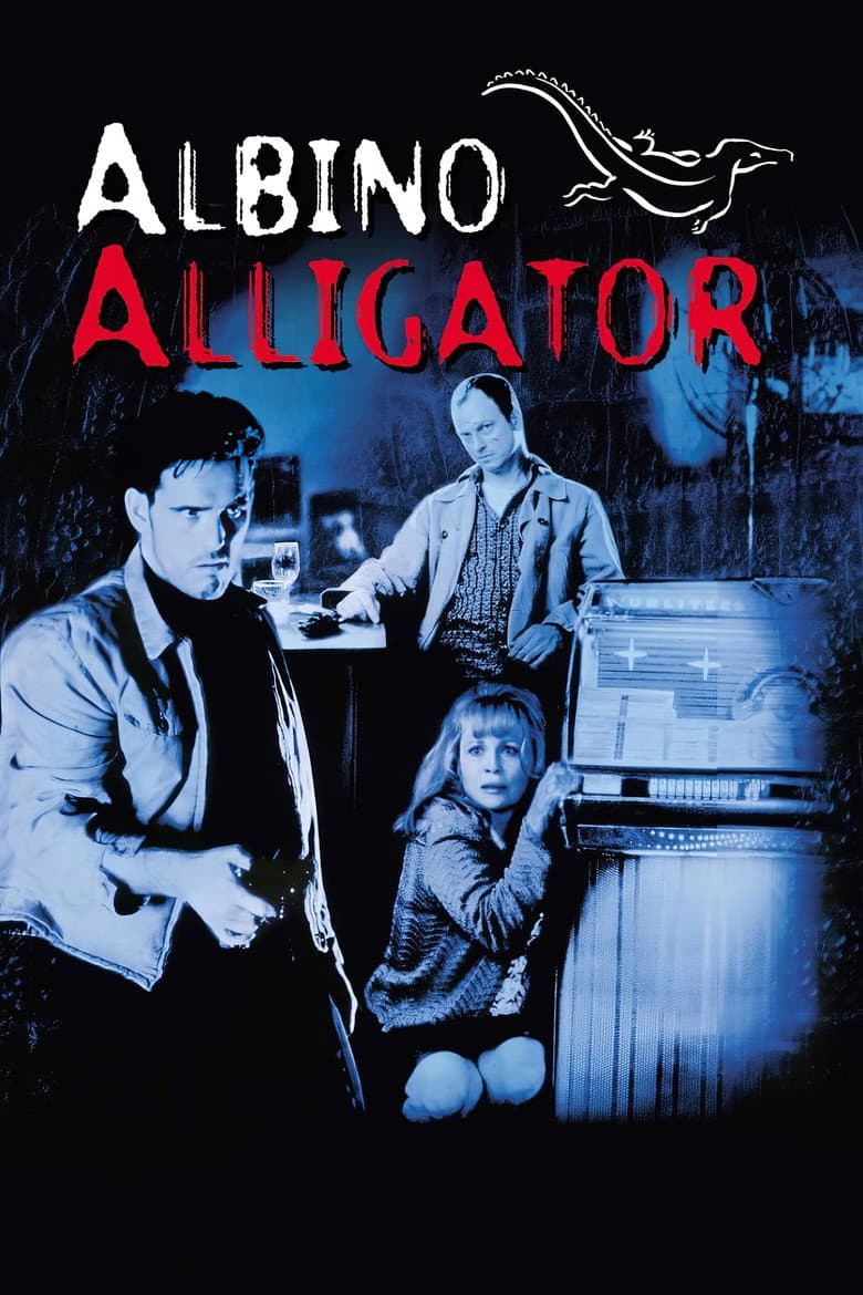 Albino Alligator (Import)