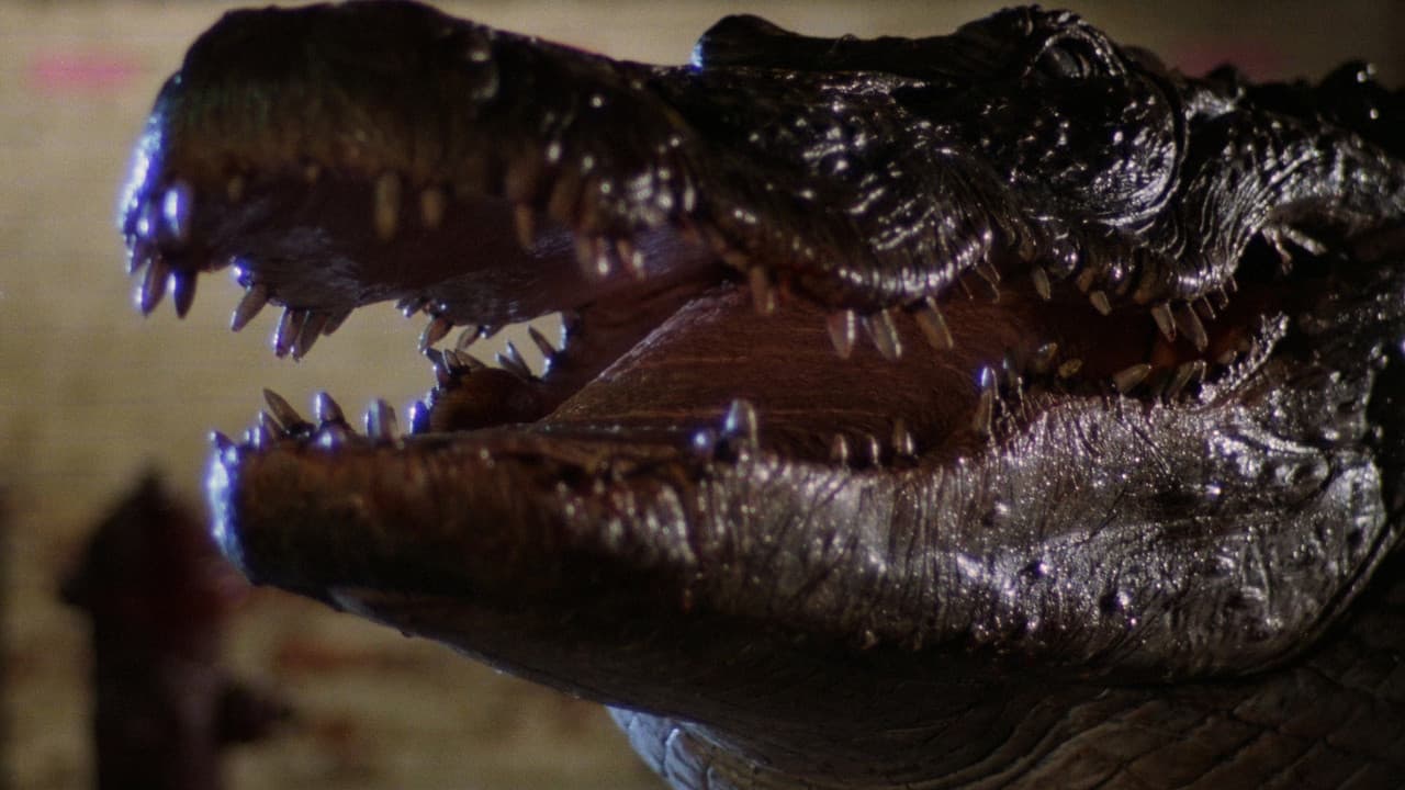 Alligator (steelbook) (4K UHD) (USA Import)