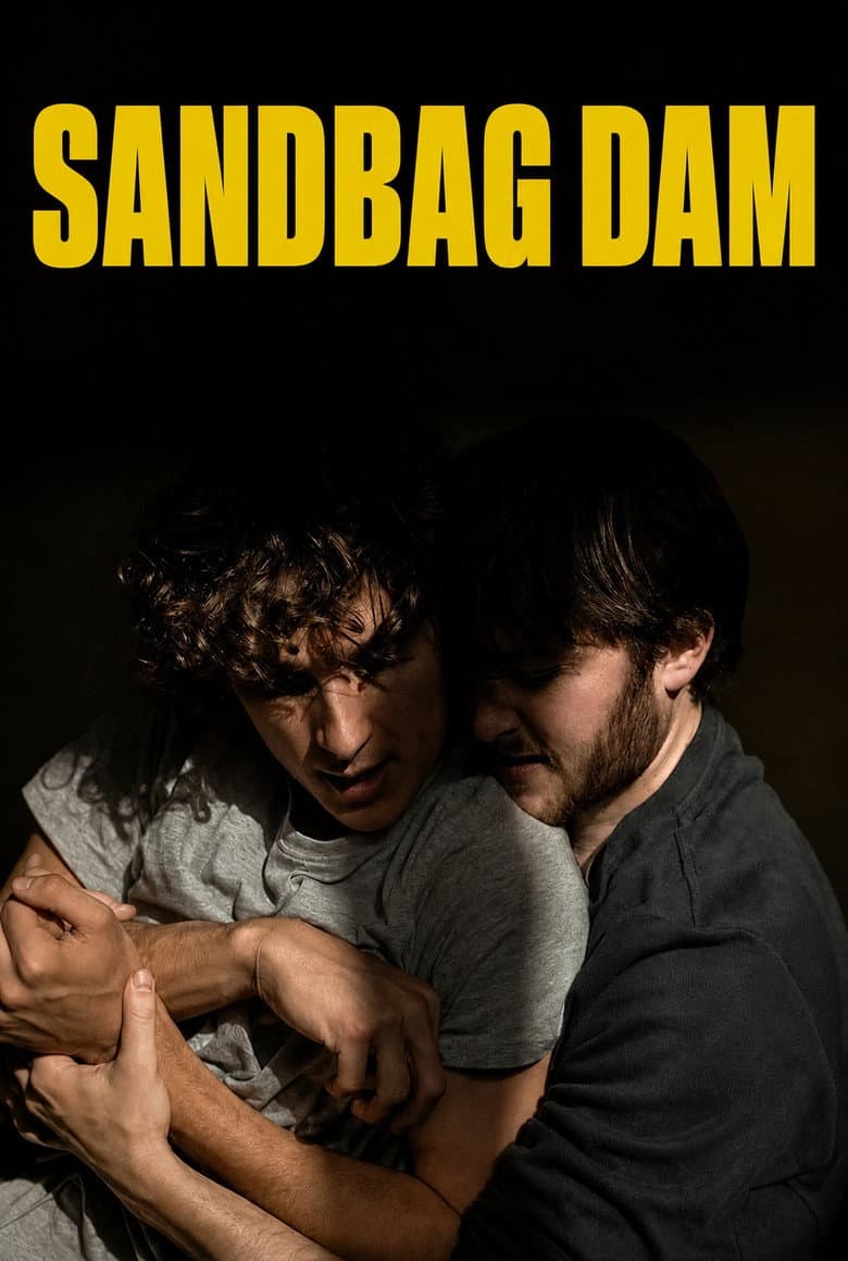 Sandbag Dam (Import)