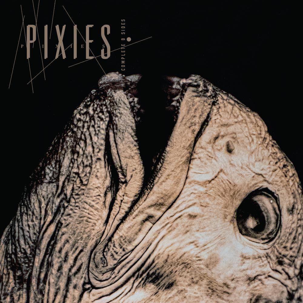 Pixies - Complete B Sides 198897 Remastered clear vinyl