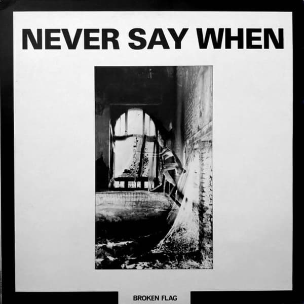 Various Artists - Never Say When (2 LP)