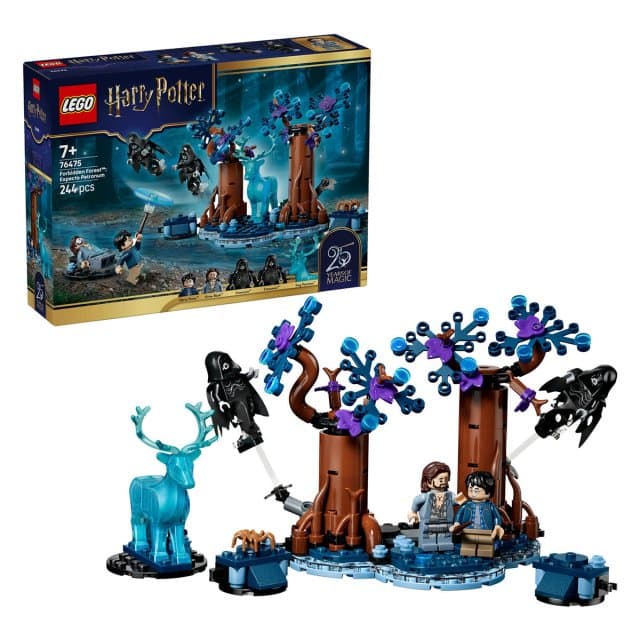 Lego: 76475 - Harry Potter - Foresta Proibita: Expecto Patronum