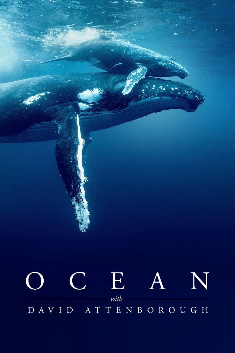 Ocean With David Attenborough Bd (Import)