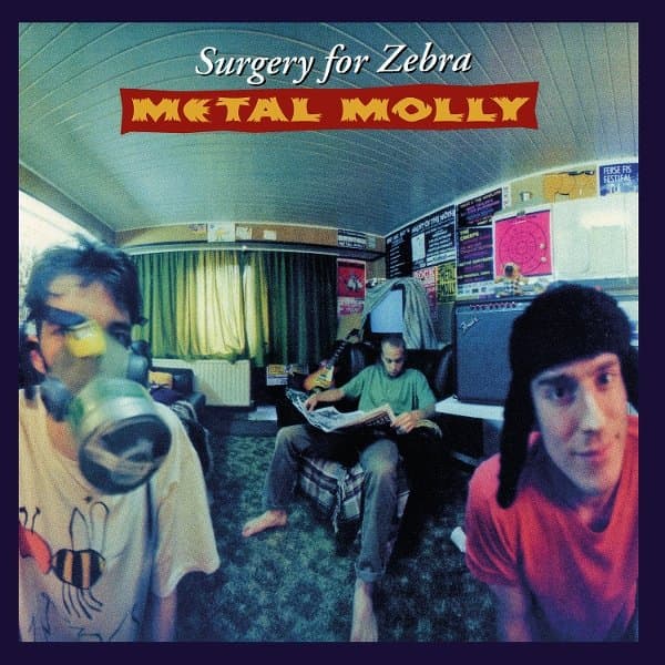 Metal Molly - Surgery For Zebra (LP)