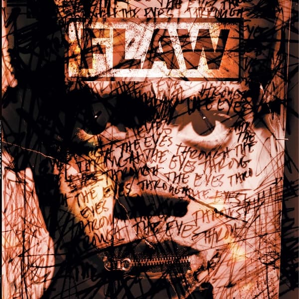 Flaw - Through The Eyes