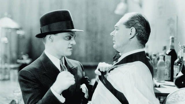 The Public Enemy (1931) (Import)