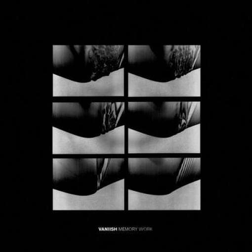 Vaniish - Memory Work (LP)