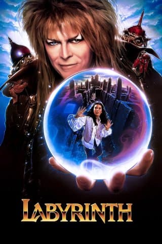 Labyrinth (Import)