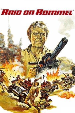 Raid On Rommel (Import)