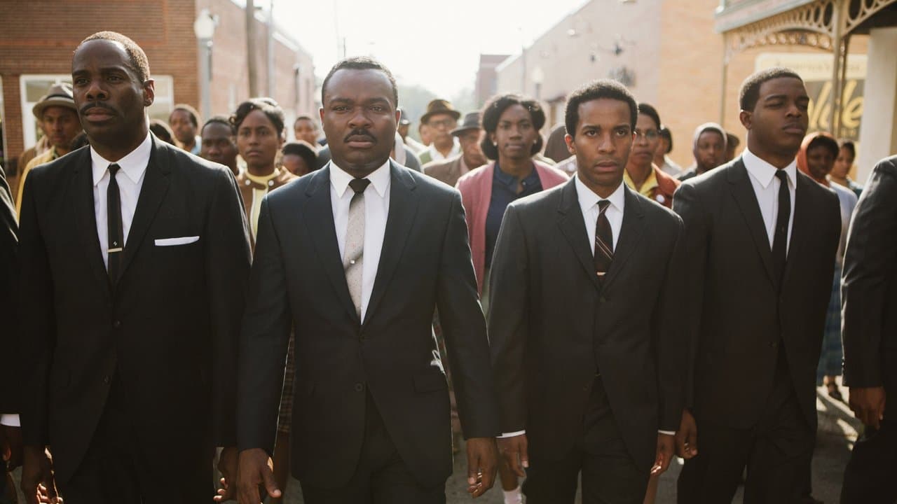 Selma (Import)