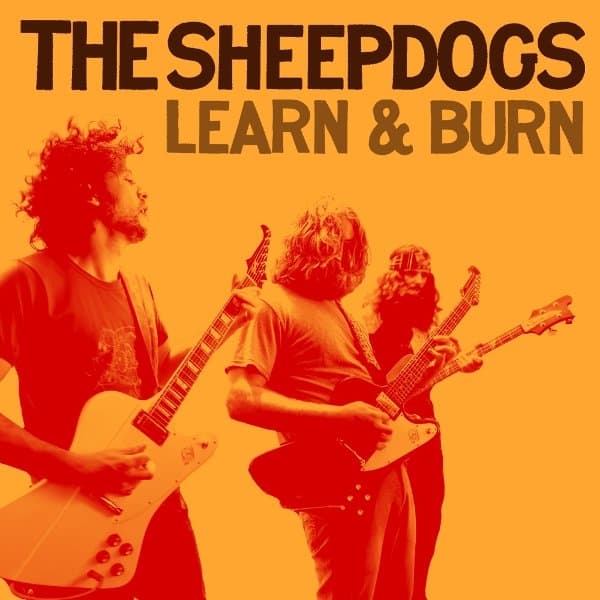 The Sheepdogs - Learn & Burn (LP)