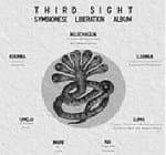 Third Sight (D-styles & Jihad) - Symbionese Liberation Album
