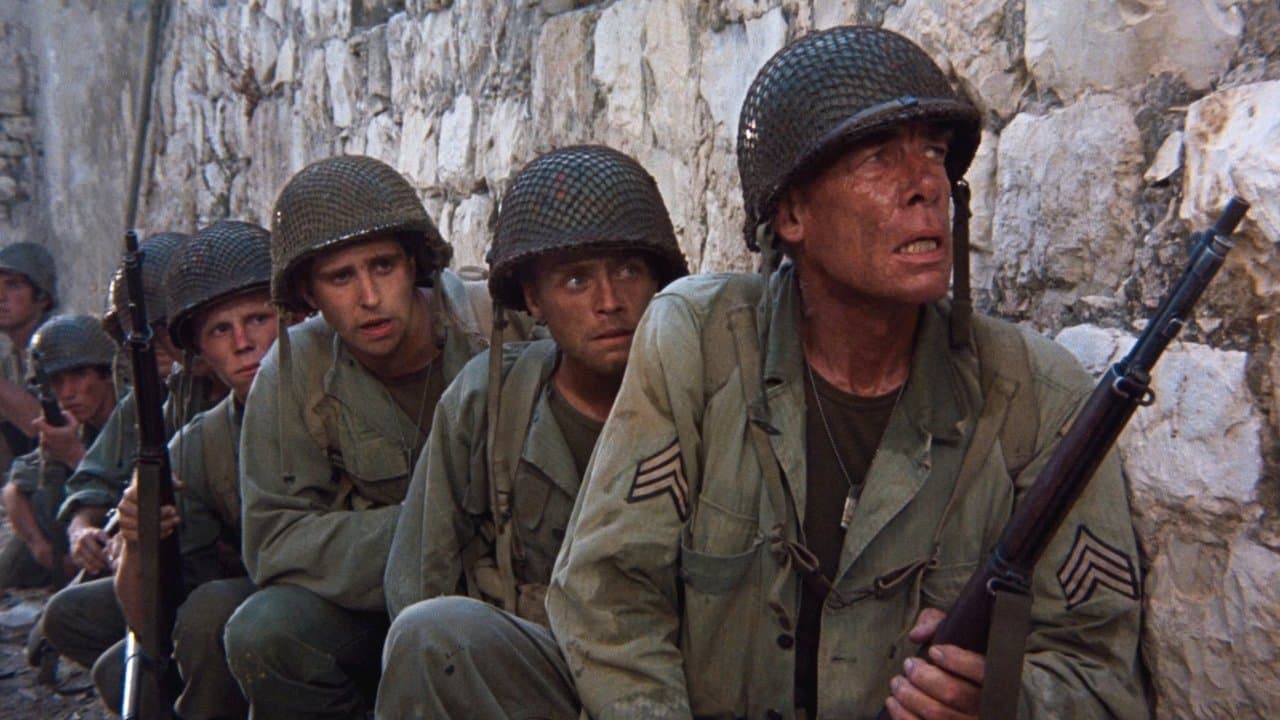 Big red one  (DVD)