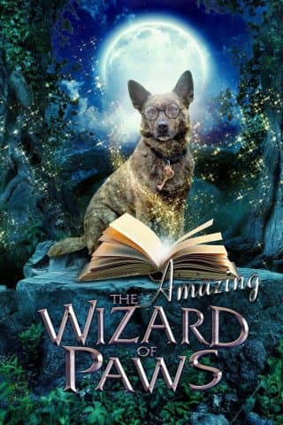 Amazing Wizard Of Paws (Import)