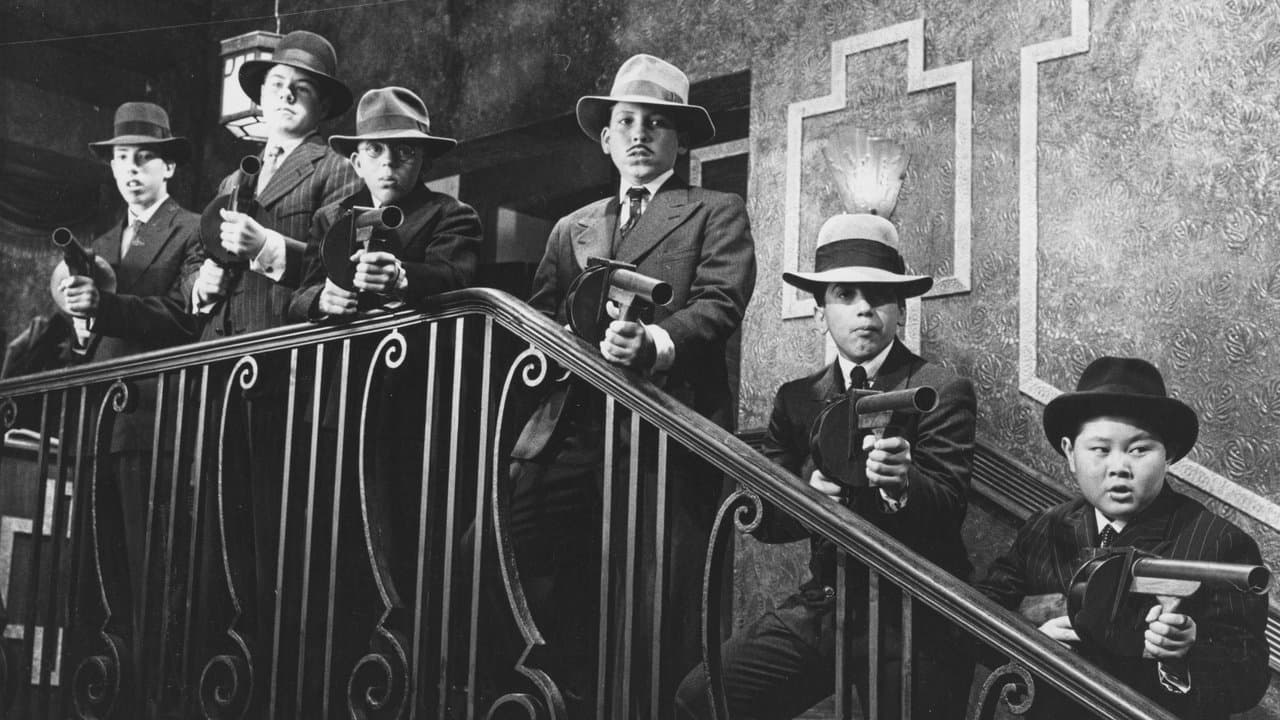 Bugsy Malone (Import)