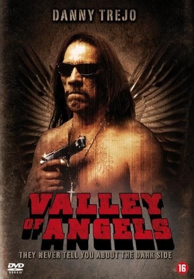 Valley Of Angels (DVD)