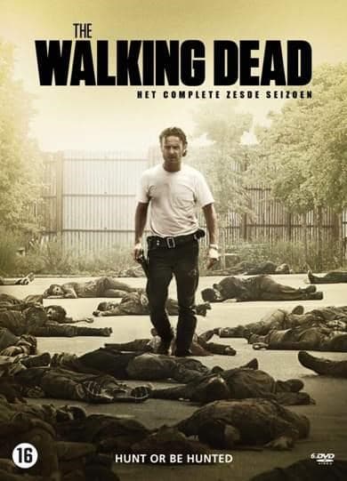 The walking dead - Seizoen 6 (DVD)