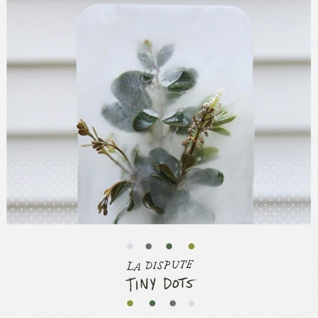 La Dispute - Tiny Dots (DVD)