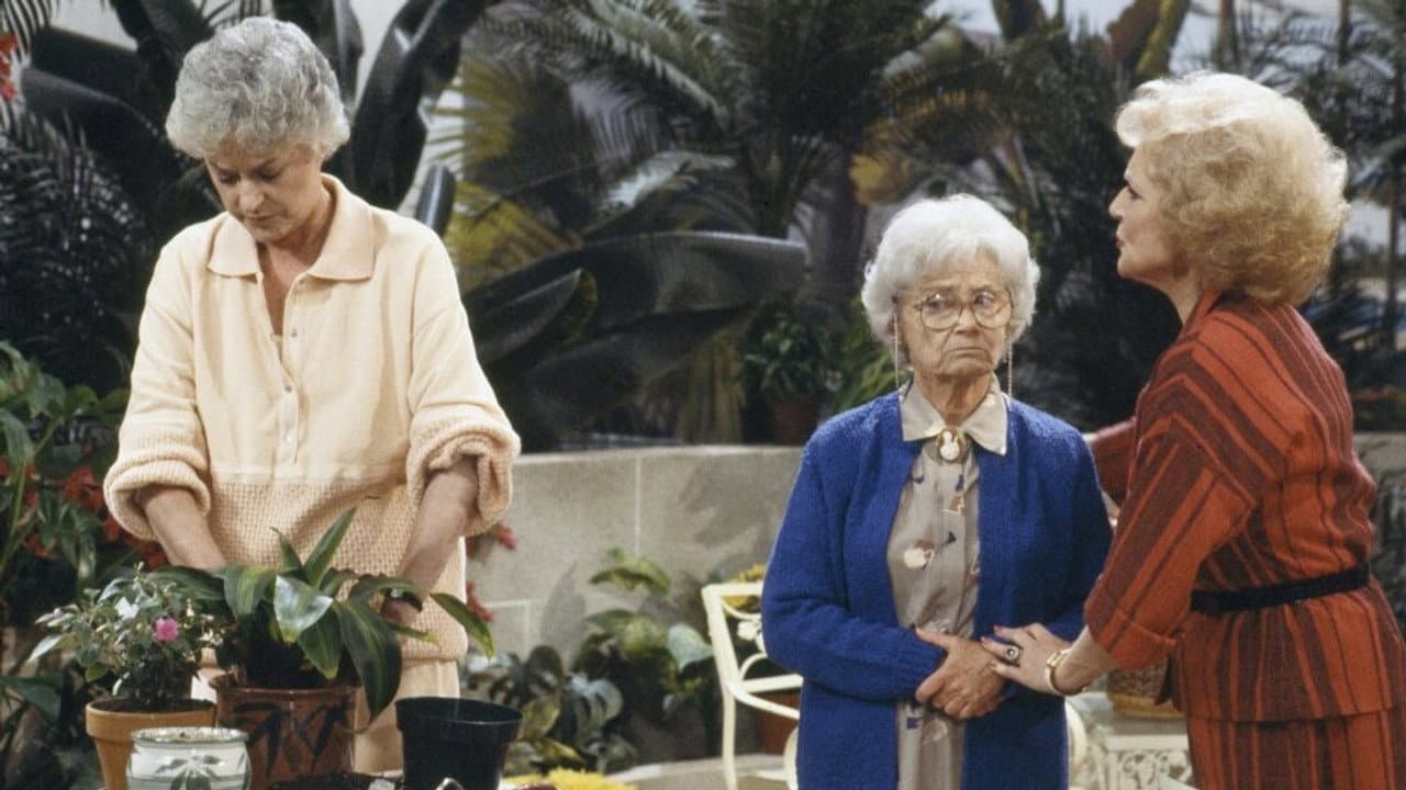 Golden Girls 1-4 Box Set (Import)